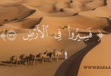 TAQAARIIR- Fasiiruu.