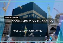 Barnaamijka Ilbaxnimadu Waa Islaamka.