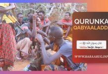 Barnaamijka Qurunka Qabyaaladda.